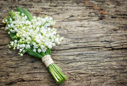 White Flowers