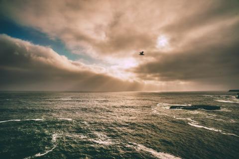 image of sun on ocean